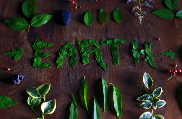 Earth_Day_Wardour_video_content_768x500.jpg Earth_Day_Wardour_video_content_768x500.jpg