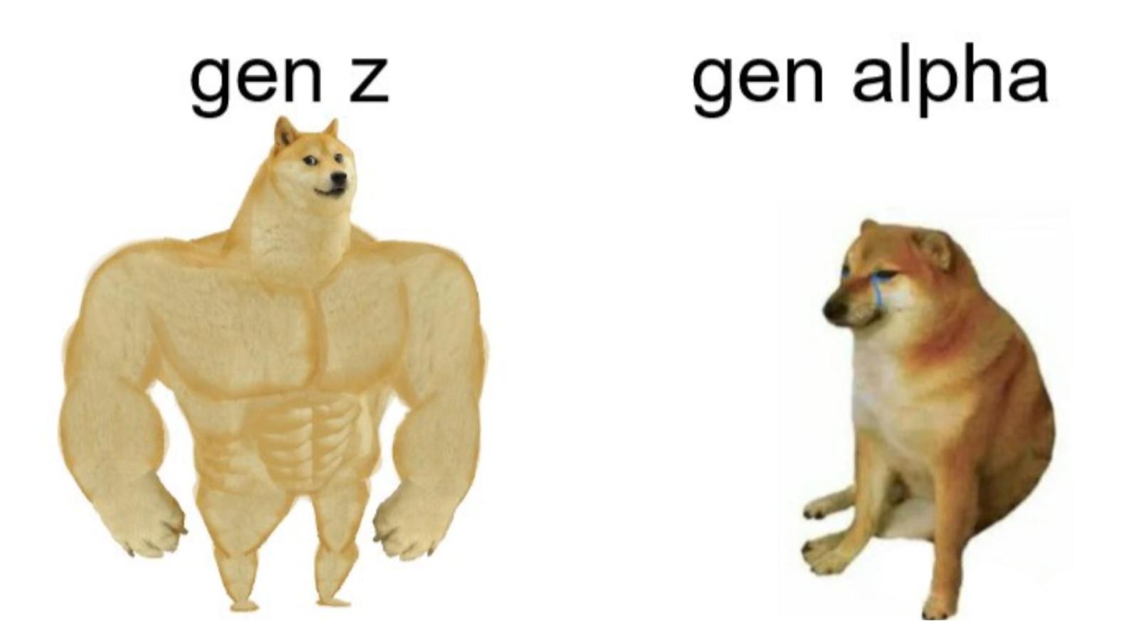 gen-z-gen-alpha-meme.jpg