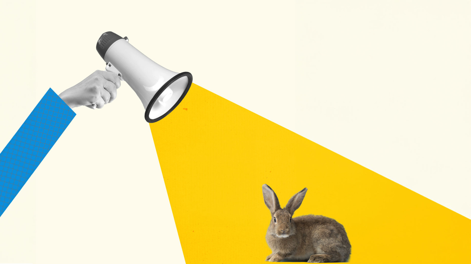 Abstract hand with megaphone shouting to rabbit. Abstract hand with megaphone shouting to rabbit.